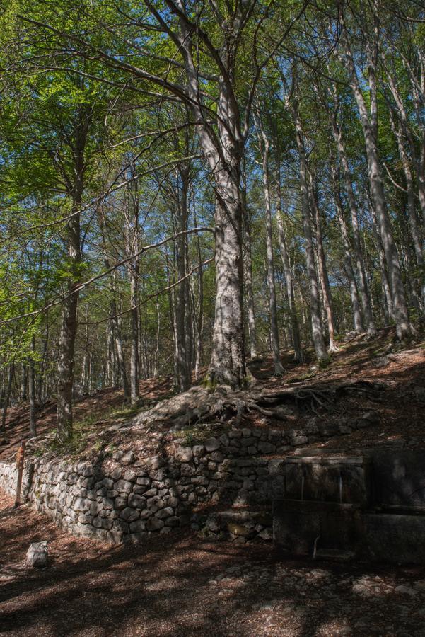 Albergo Parco Della Maiella Sant'Eufemia a Maiella Zewnętrze zdjęcie